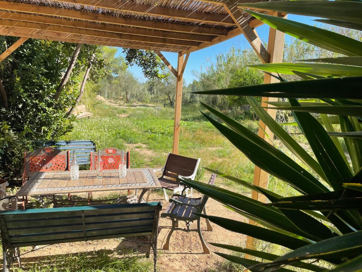 Casa Rural Con Jardin,A 8Km Playa Y En La Naturaleza Taronja&Canyella Ardenya Εξωτερικό φωτογραφία