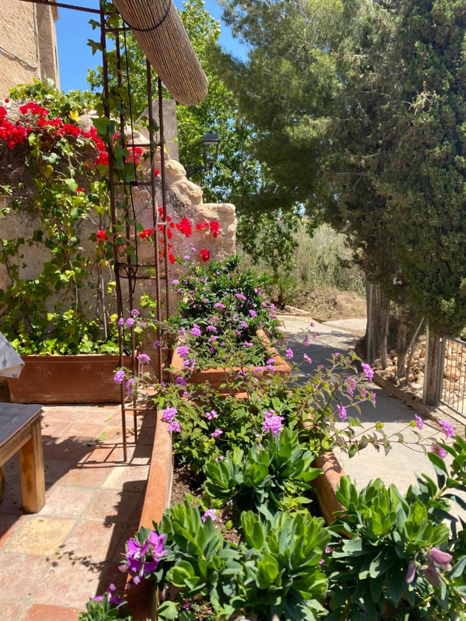 Casa Rural Con Jardin,A 8Km Playa Y En La Naturaleza Taronja&Canyella Ardenya Εξωτερικό φωτογραφία